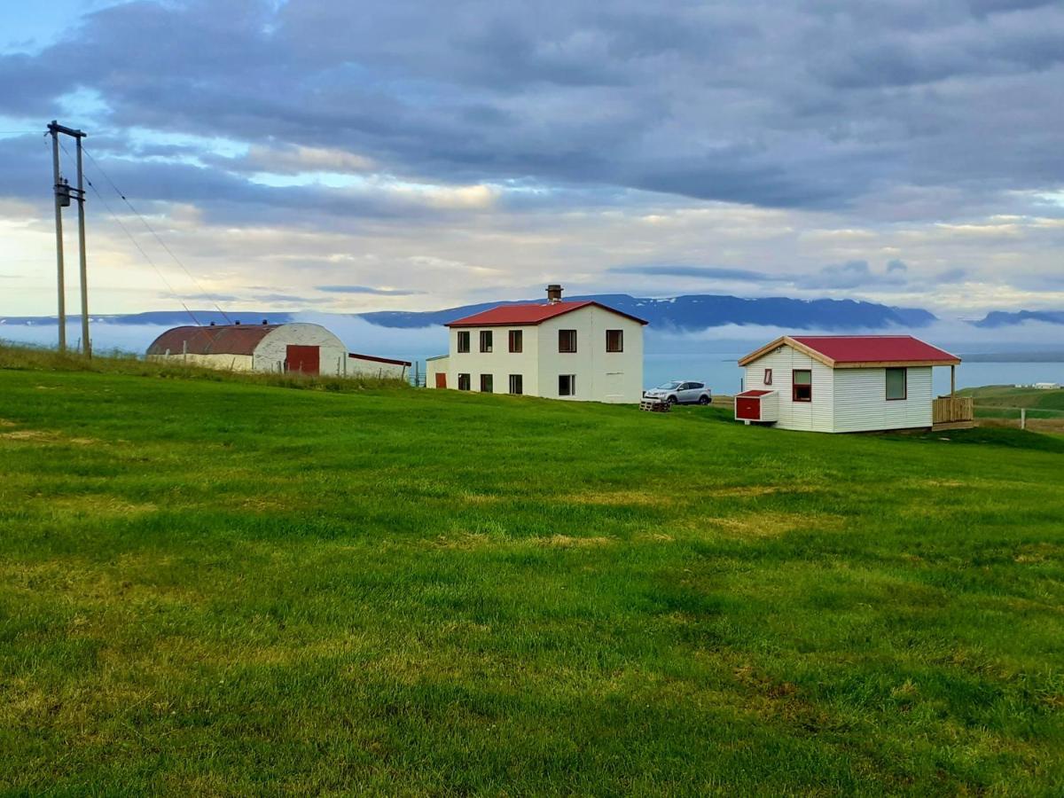 Skarth Guesthouse Saudarkrokur Екстер'єр фото