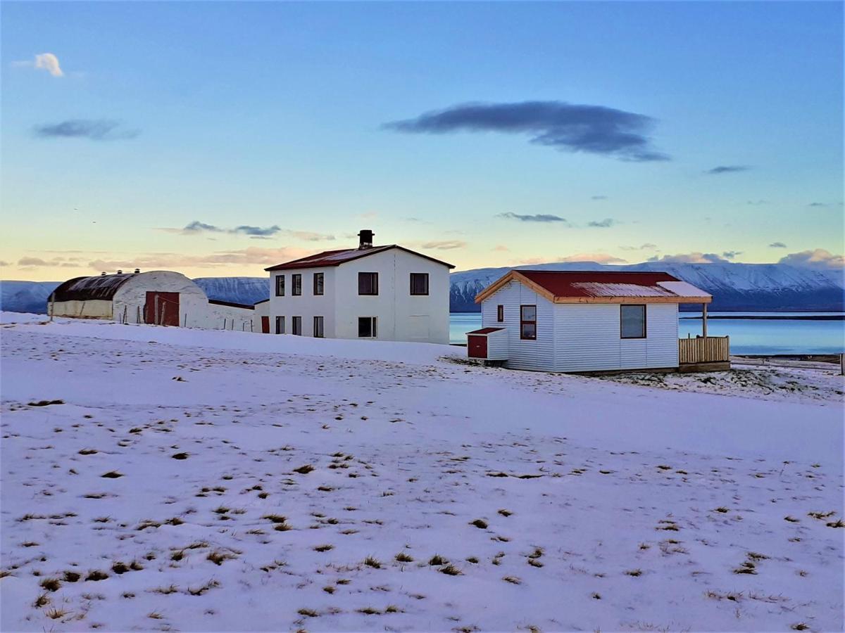 Skarth Guesthouse Saudarkrokur Екстер'єр фото