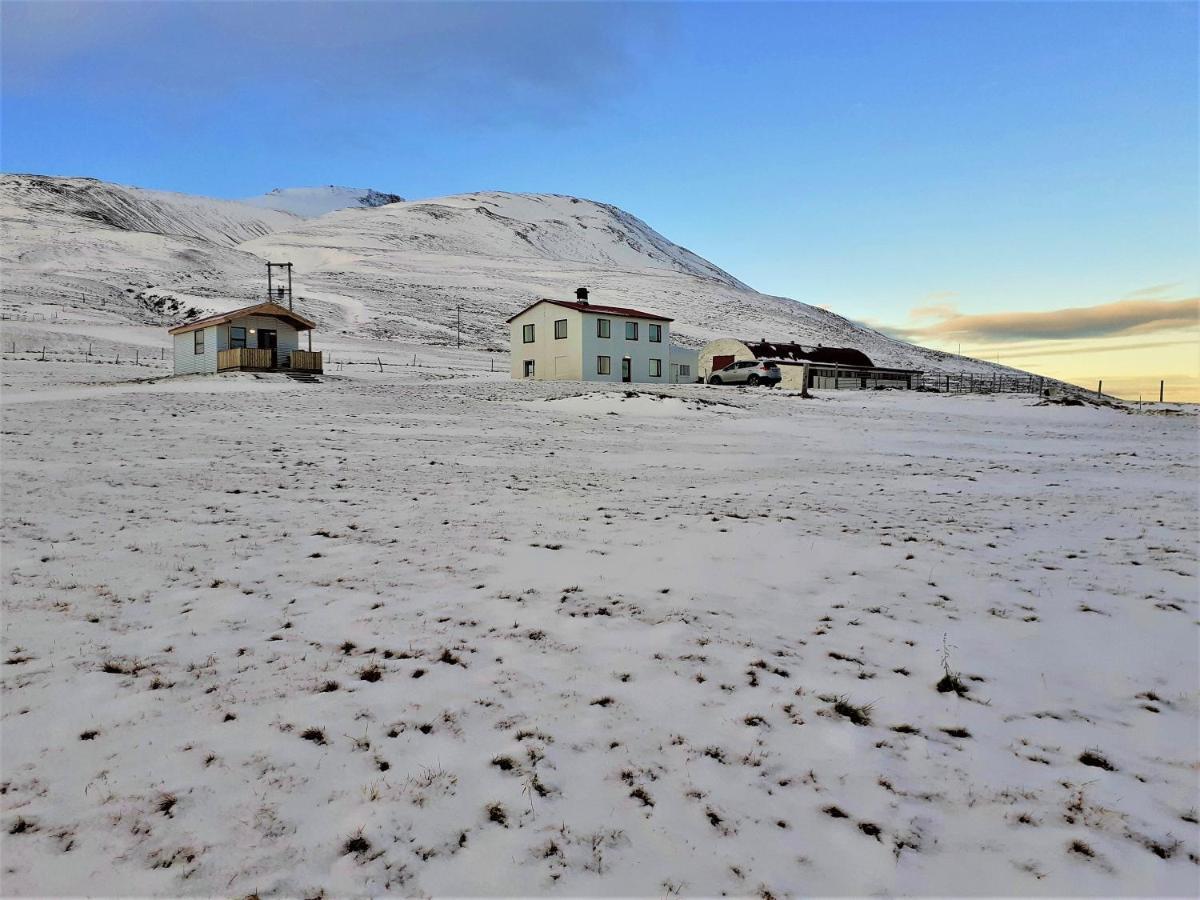 Skarth Guesthouse Saudarkrokur Екстер'єр фото
